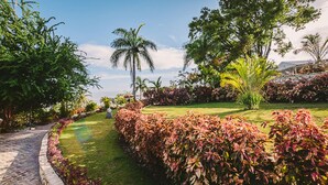 Un jardin aménagé avec une grande variété de plantes et d’arbres, un sentier sinueux et une vue sur le ciel.