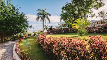 Vue sur le jardin