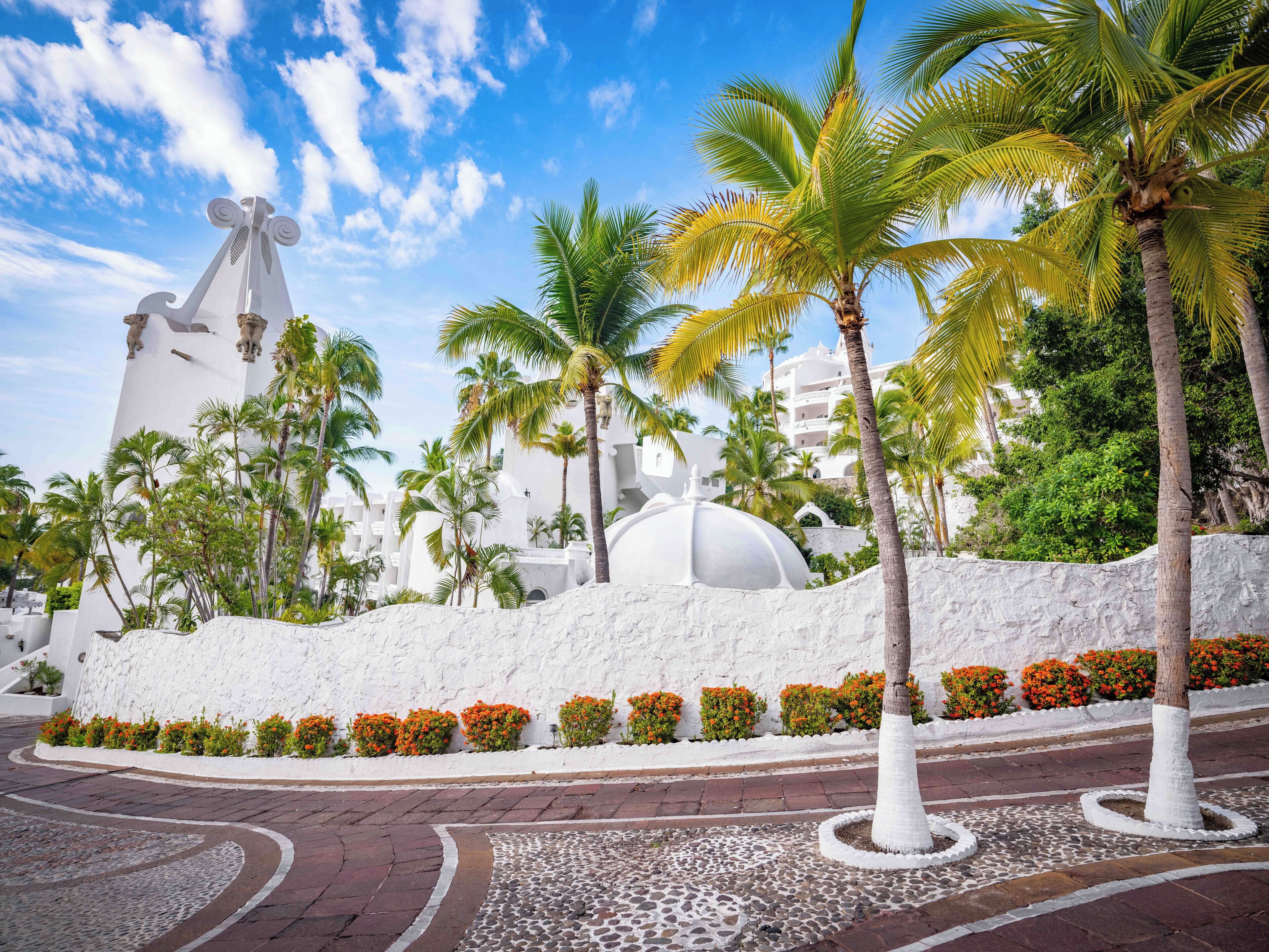 A white building with a dome, surrounded by palm trees and orange flowers.