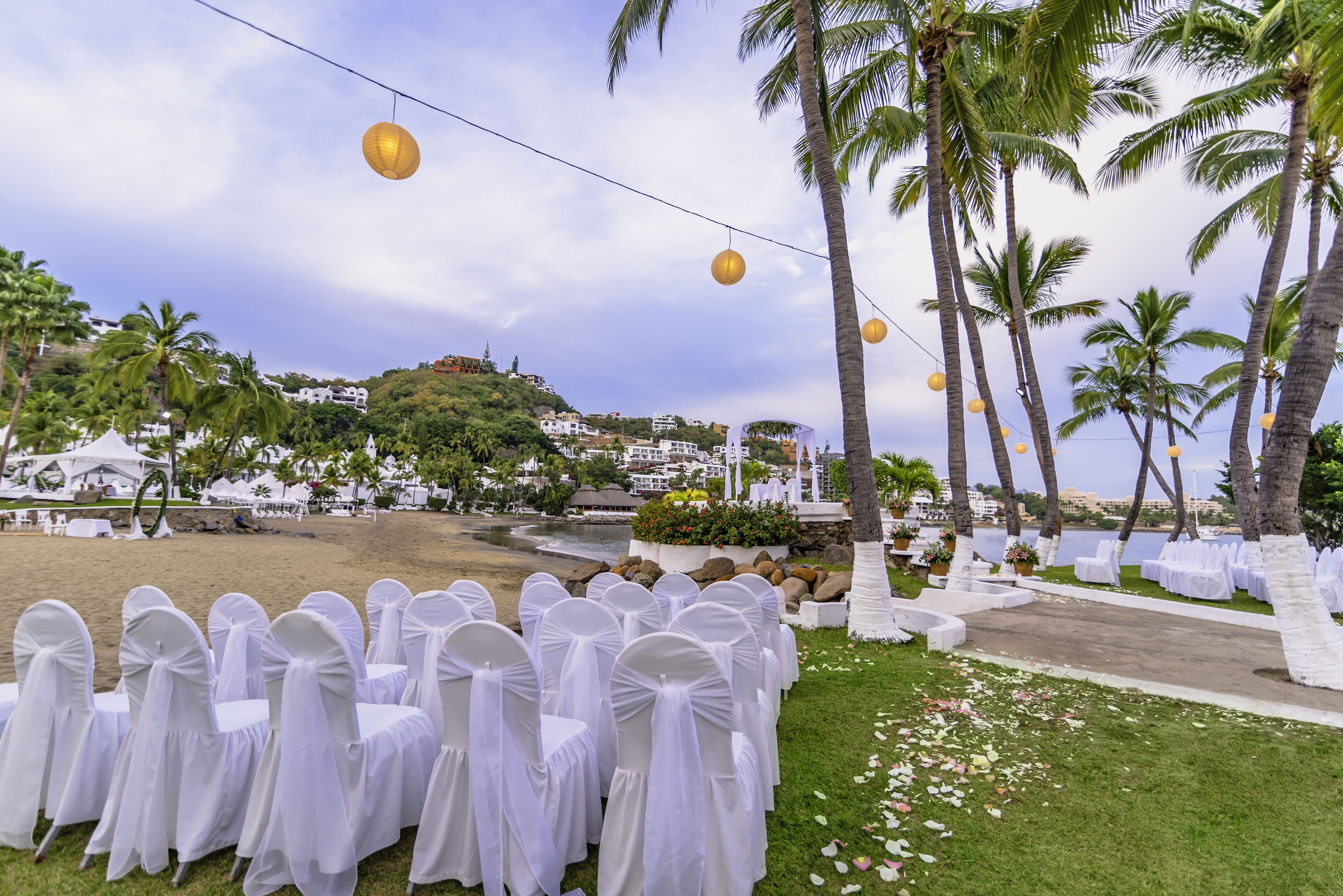 Rows of white chairs with white covers, arranged on grass near a beach with palm trees and a view of buildings in the background.
