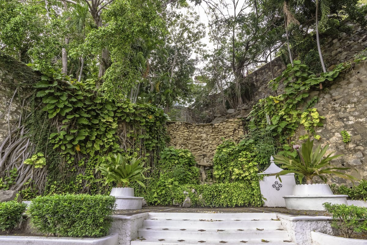garden