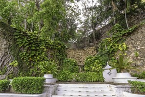 Vườn