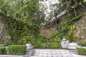Vườn