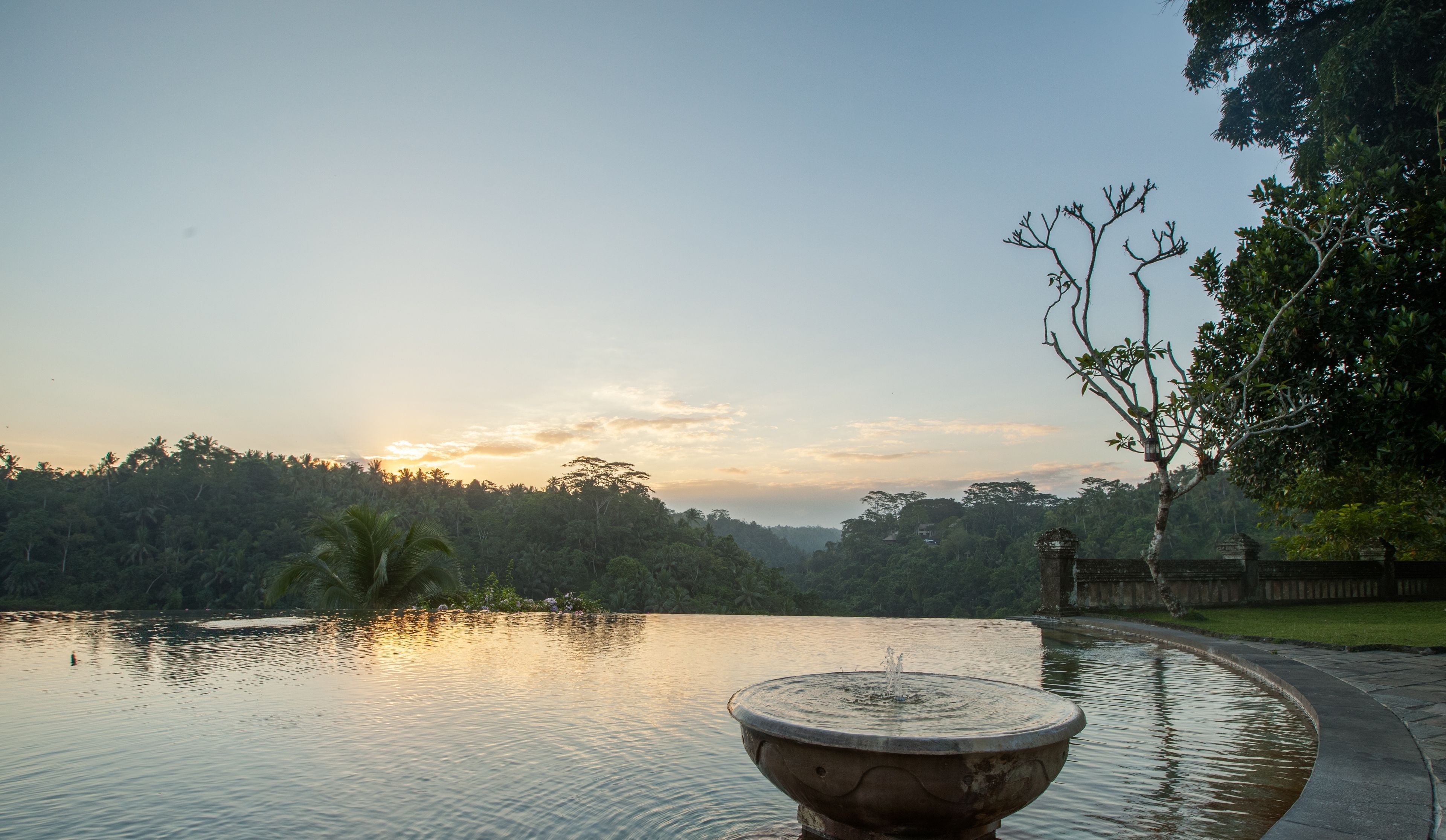 A serene water feature with a stone basin in the foreground, surrounded by lush greenery and a clear sky.