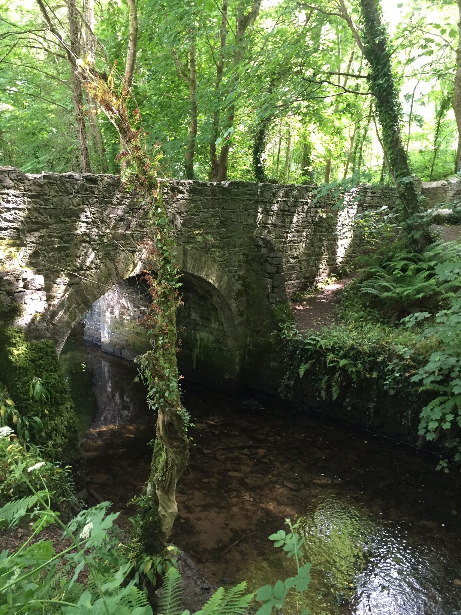 Un pont de pierre enjambant un ruisseau dans une zone boisée.