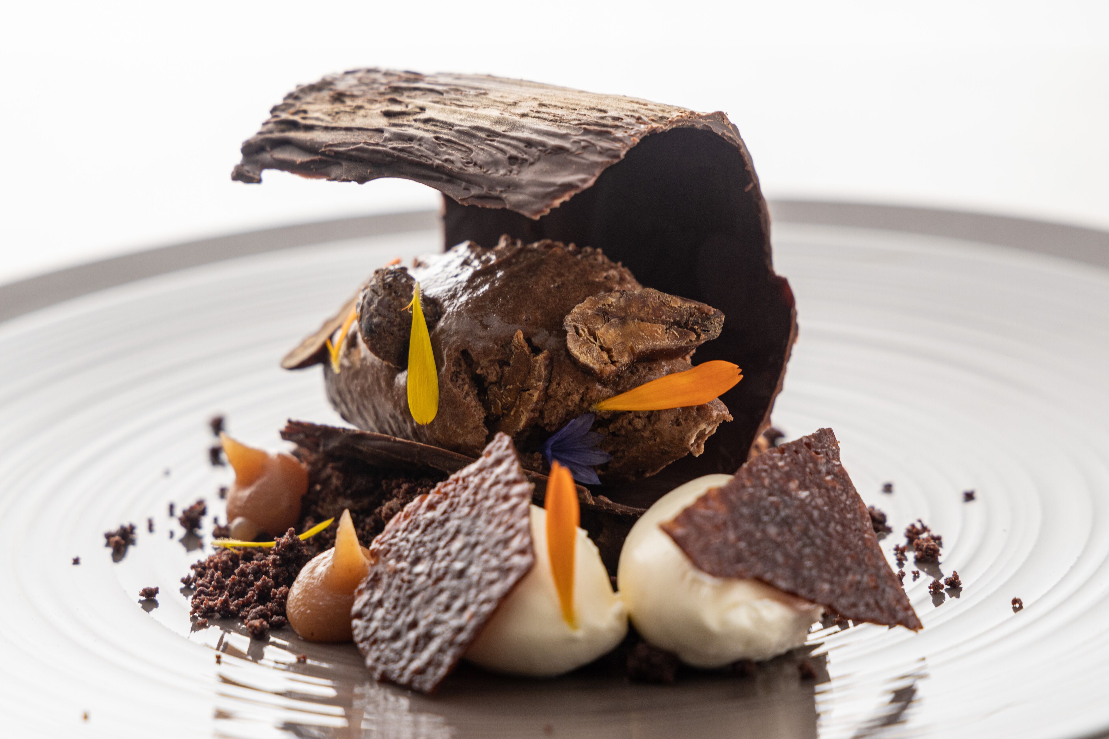Un postre con detalles de chocolate y adornos sobre un plato.