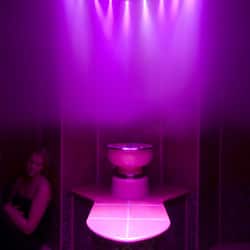 Steam room