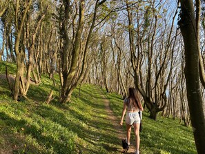 Hiking