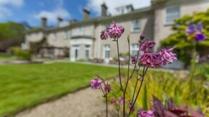 A traditional building with a symmetrical facade, a well-maintained lawn, and flowering plants in the foreground. - Dunbrody Country House Hotel (Arthurstown)