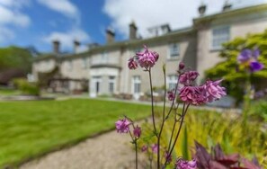 Garden - Dunbrody Country House Hotel (Arthurstown)
