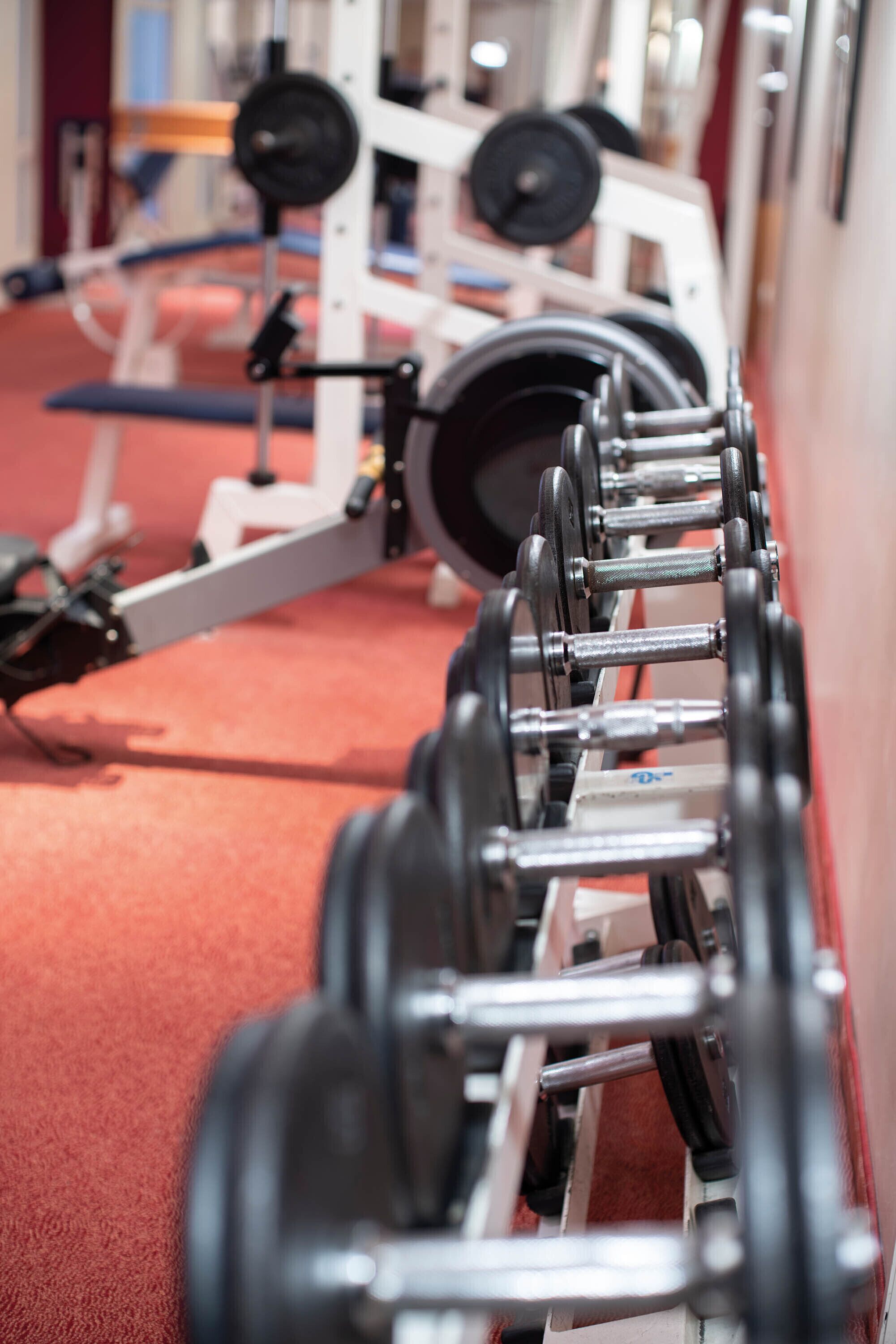 Una fila de equipo de levantamiento de pesas en un gimnasio.