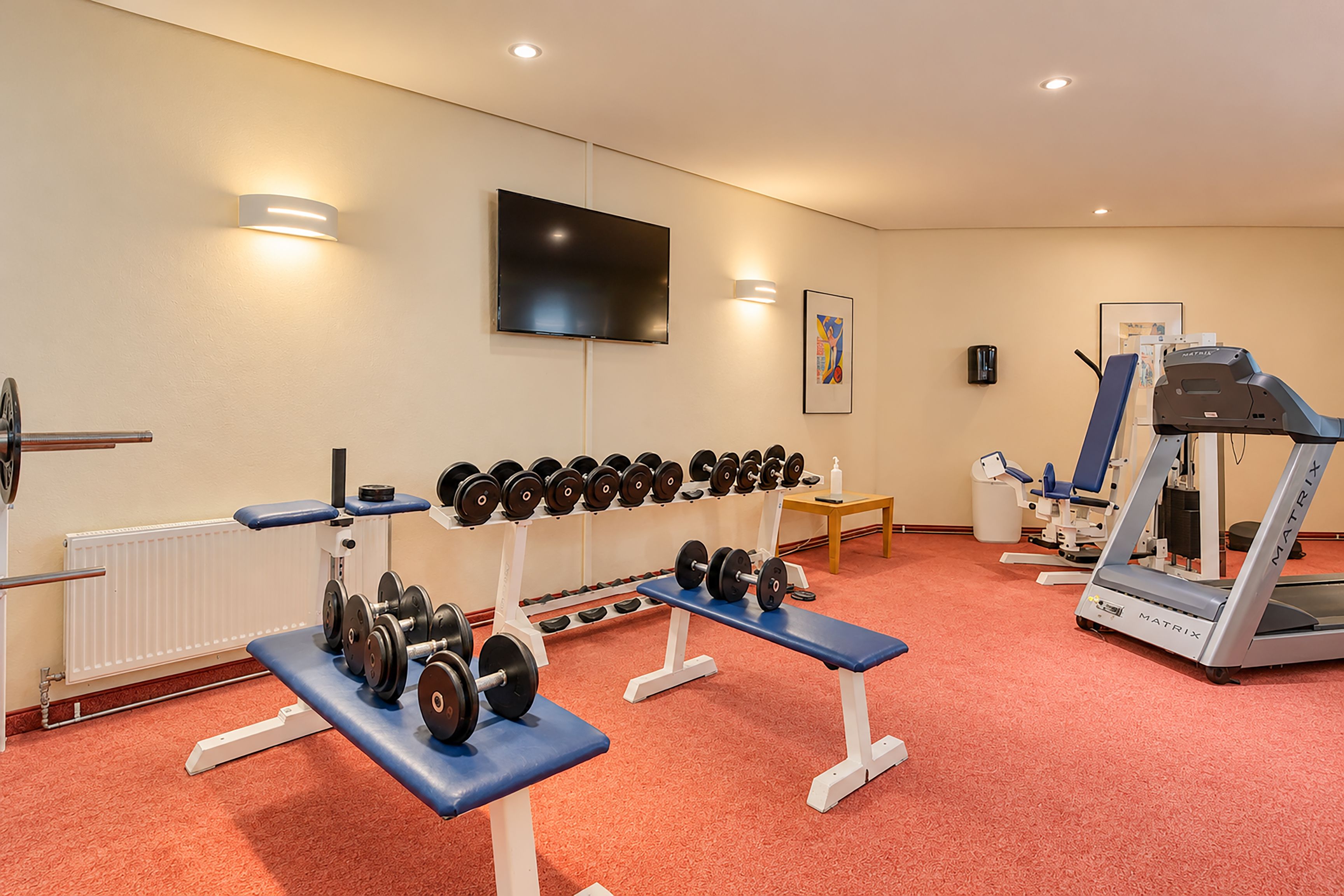 A gym with exercise equipment, a television, and a painting on the wall.