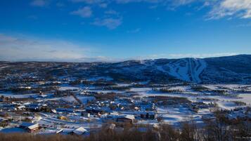 A snow-covered town with buildings and a mountain in the background.