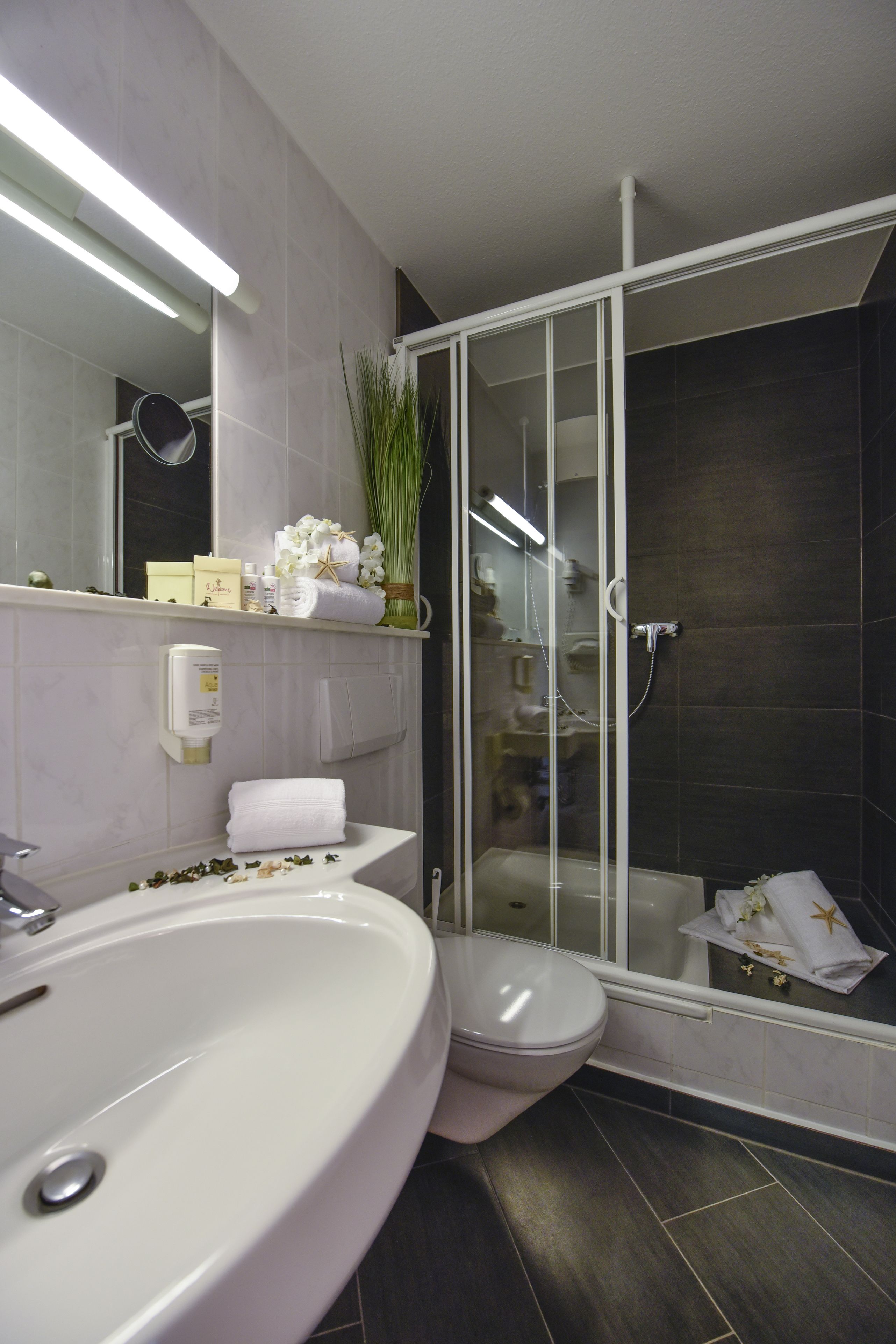 free toiletries, hair dryer, towels