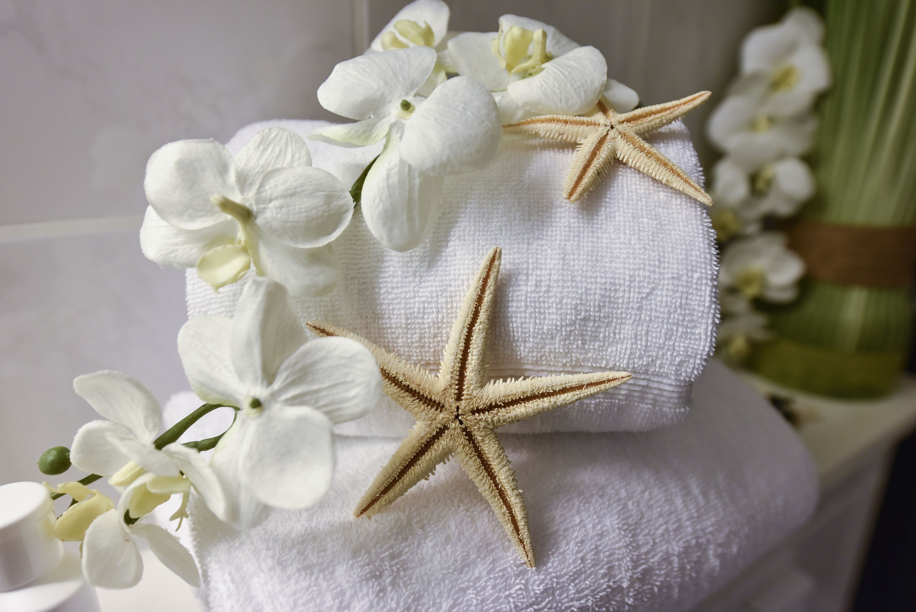 1 bedroom, premium bedding, down duvets, pillow-top beds