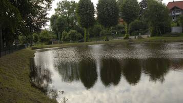 A calm pond with reflections of trees and a building in the background.