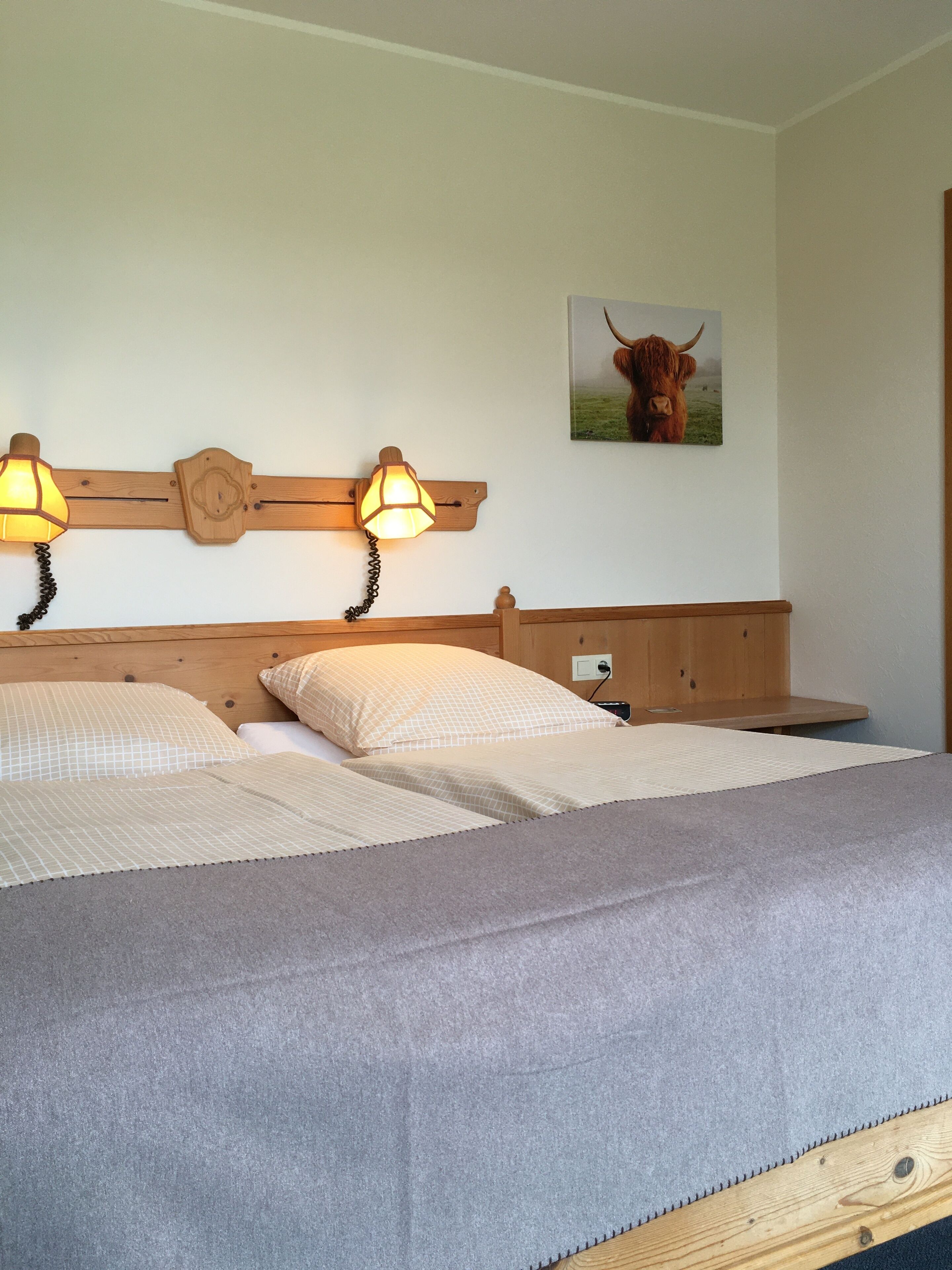 A bed with two pillows, a headboard with wall-mounted lamps, and a bull painting on the wall.