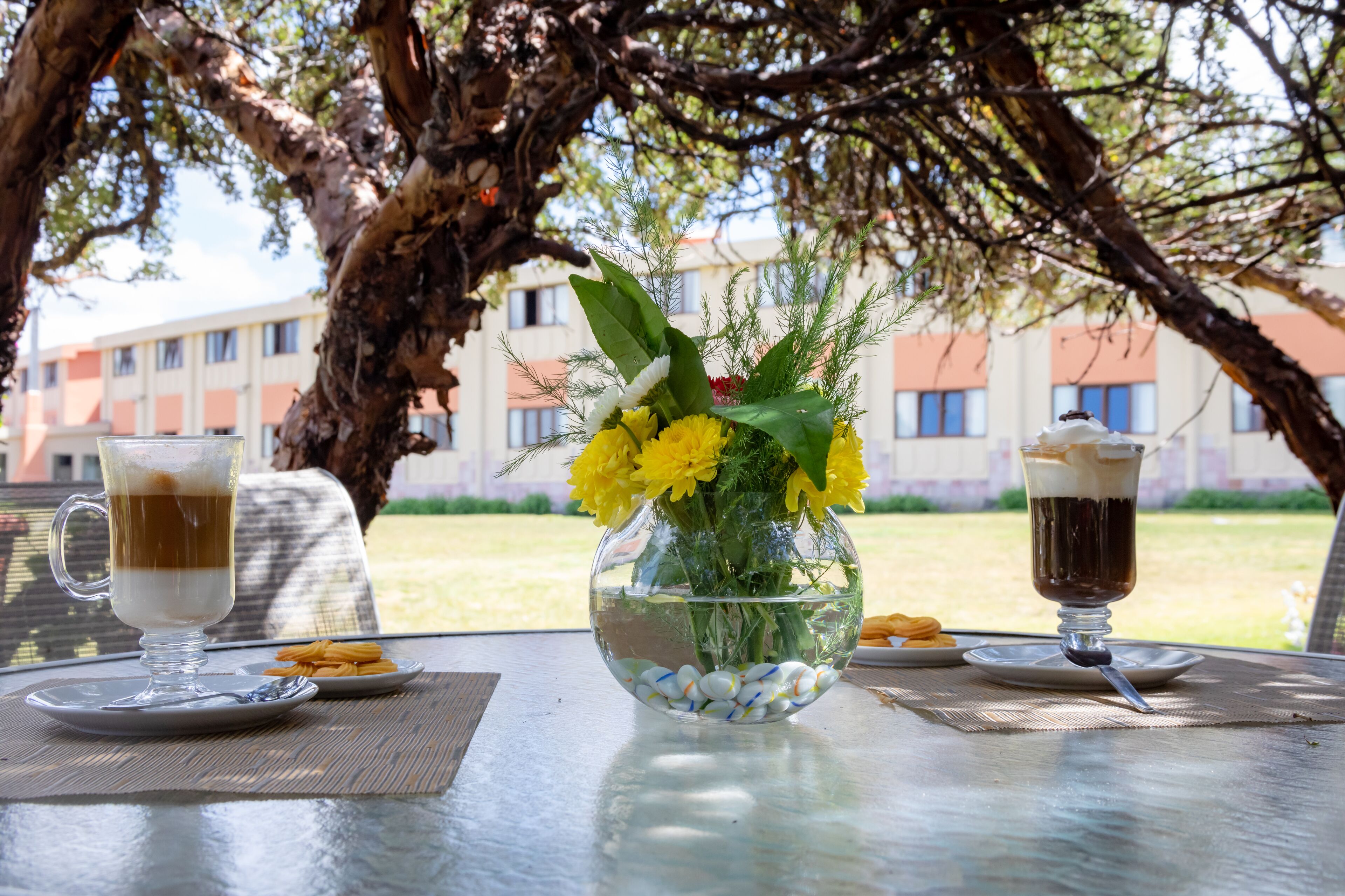 A table with two drinks, a glass of iced coffee and a glass of dark liquid, possibly coffee or tea, and a vase with yellow flowers.