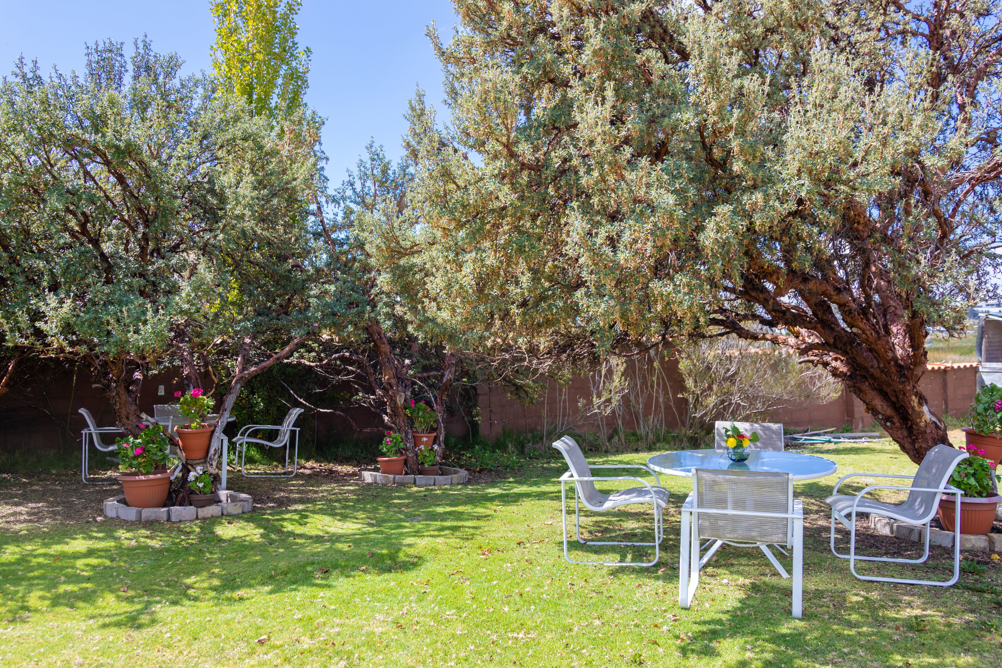 Ein Garten mit Tisch und Stühlen, umgeben von Blumentöpfen und Bäumen.