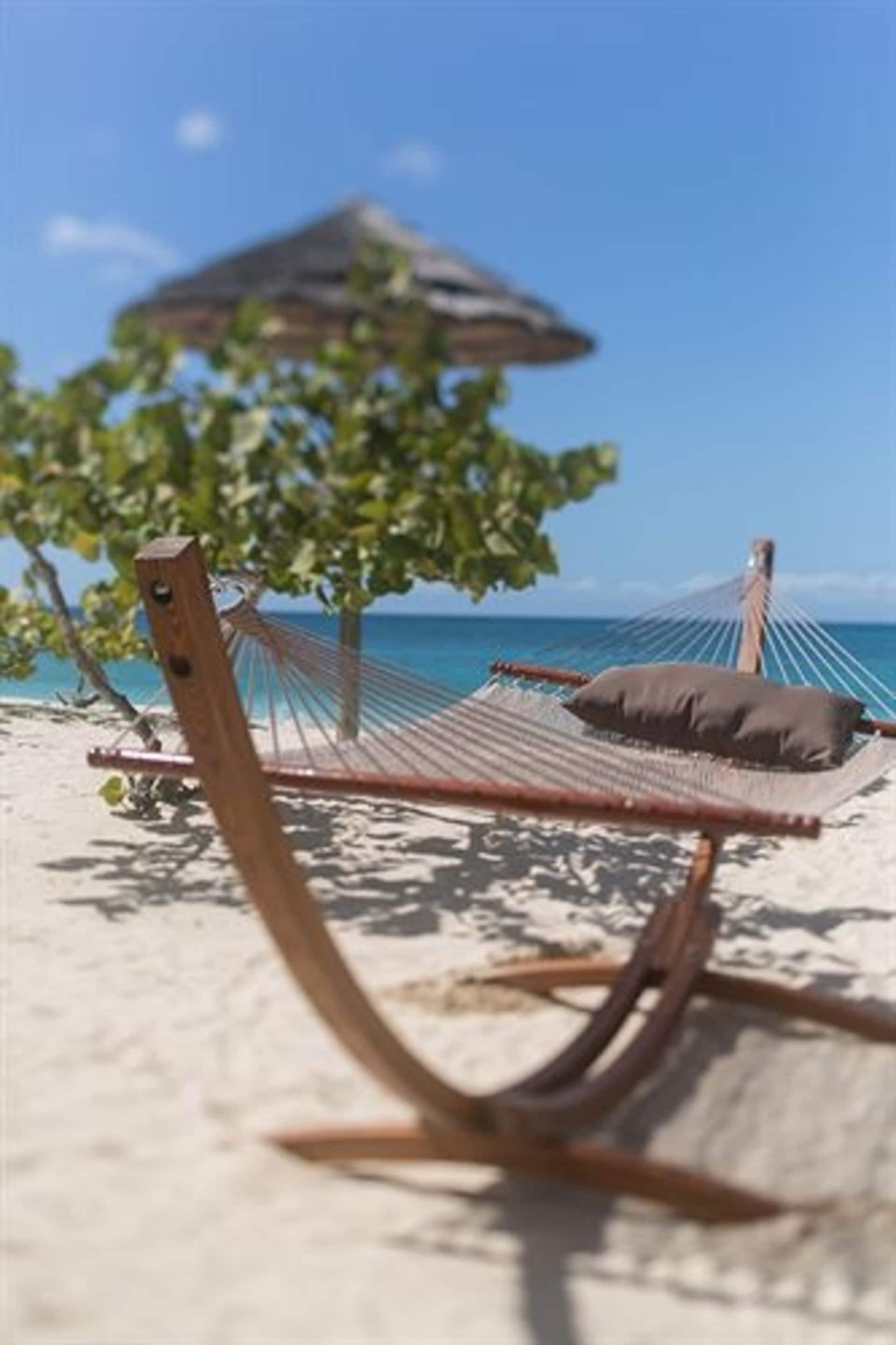 A hammock on a sandy beach with a clear view of the ocean and a tree providing shade.