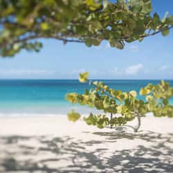 On the beach, white sand, sun loungers, beach umbrellas