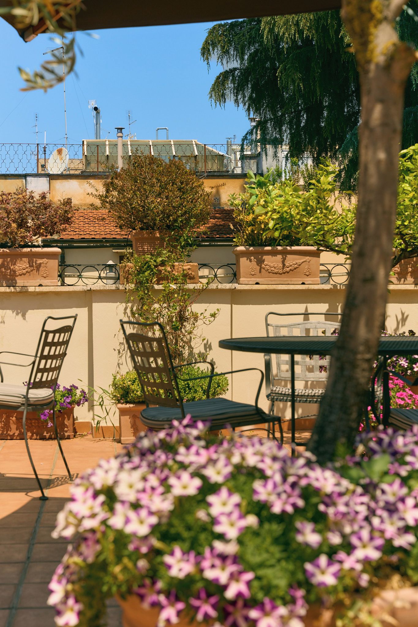 Une terrasse extérieure avec des tables et des chaises, entourée de plantes et de fleurs en pot.