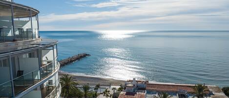 A coastal hotel with a balcony overlooking the sea, a rocky breakwater, and a palm-lined promenade.