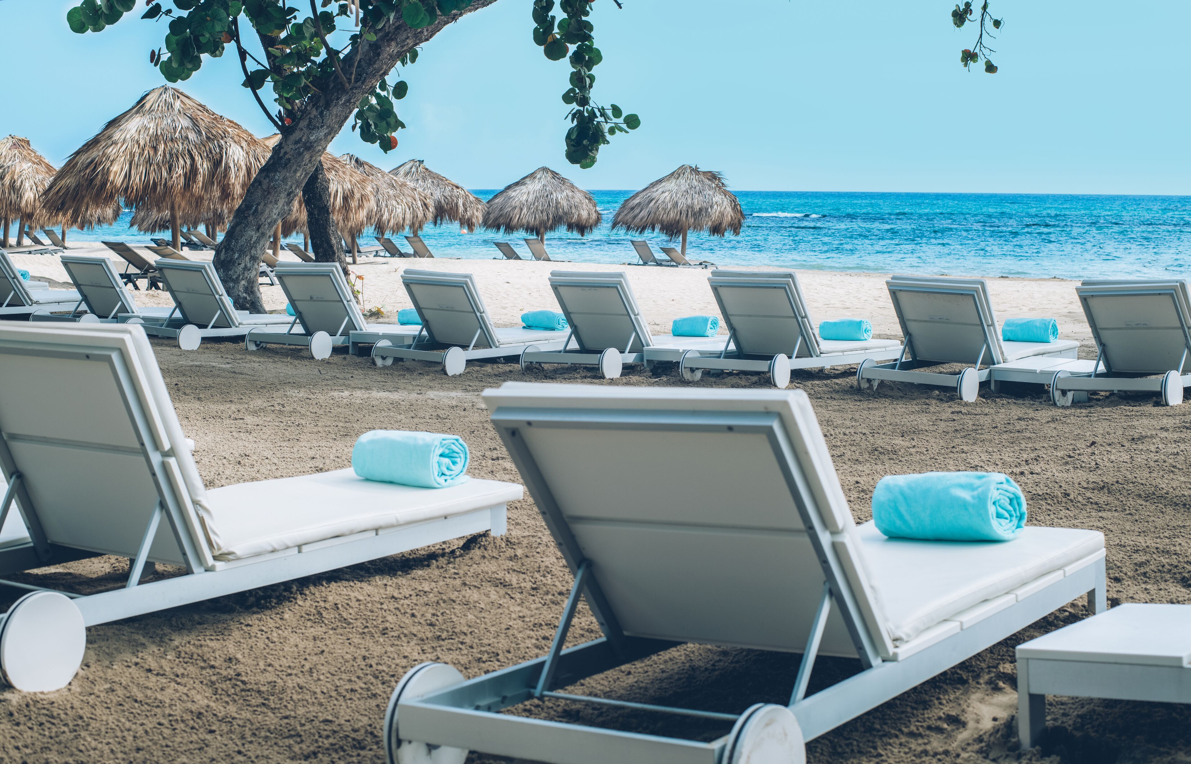 A beach with rows of sun loungers and thatched umbrellas.