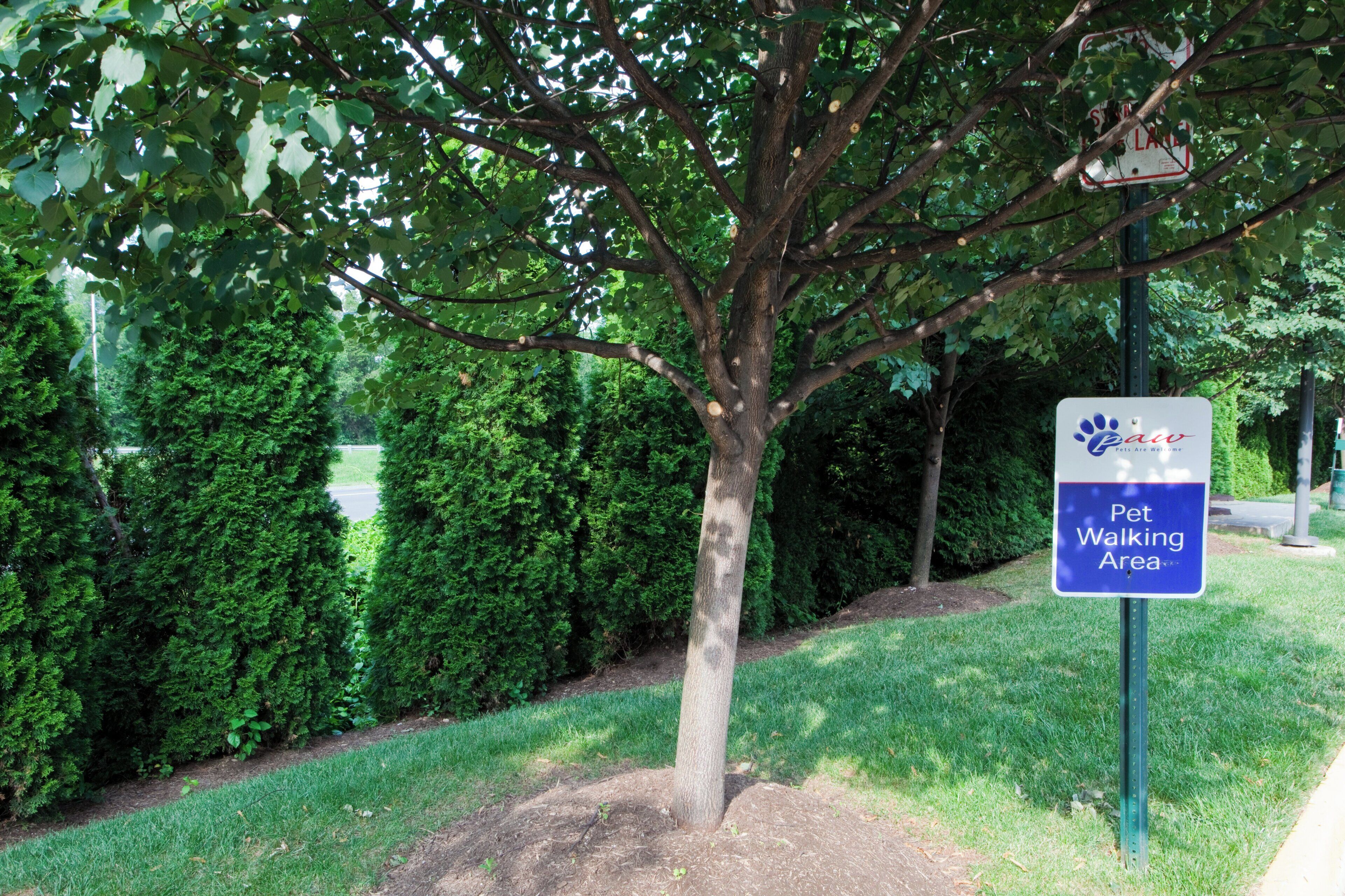A sign indicating a pet walking area in a park with a tree and neatly trimmed hedges.