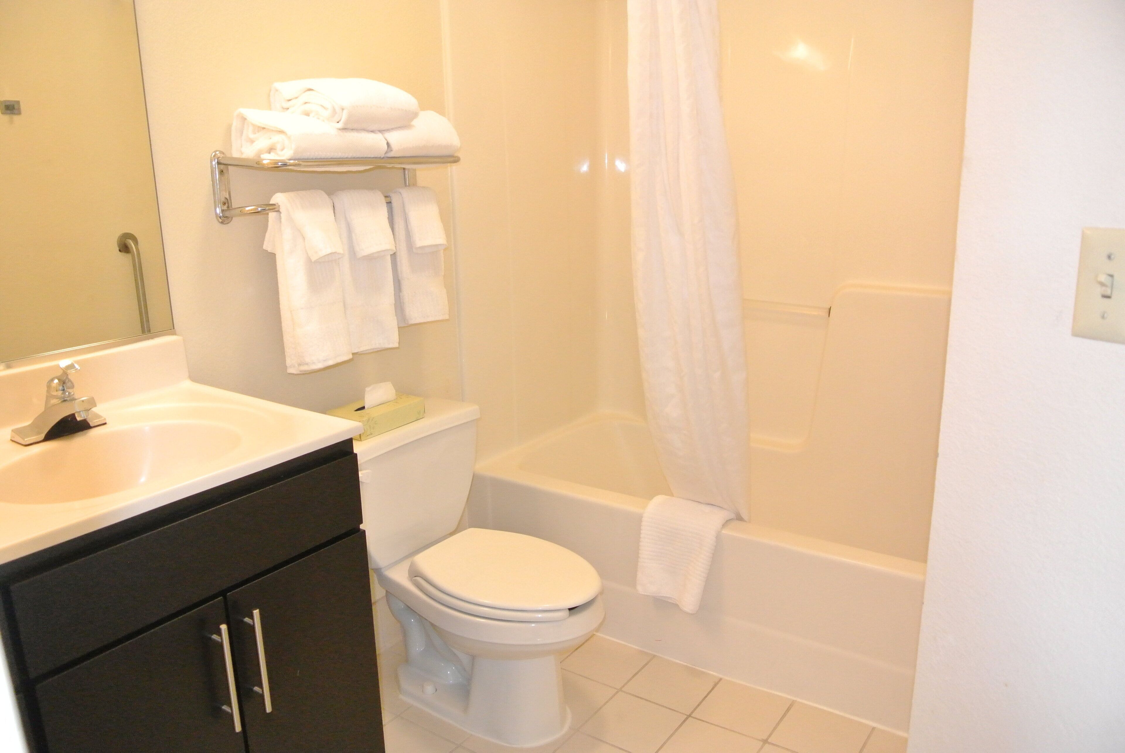 combined shower/bathtub, free toiletries, hair dryer, towels