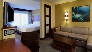 Une chambre d’hôtel avec un lit, un canapé, une télévision, un bureau et un tableau au mur.