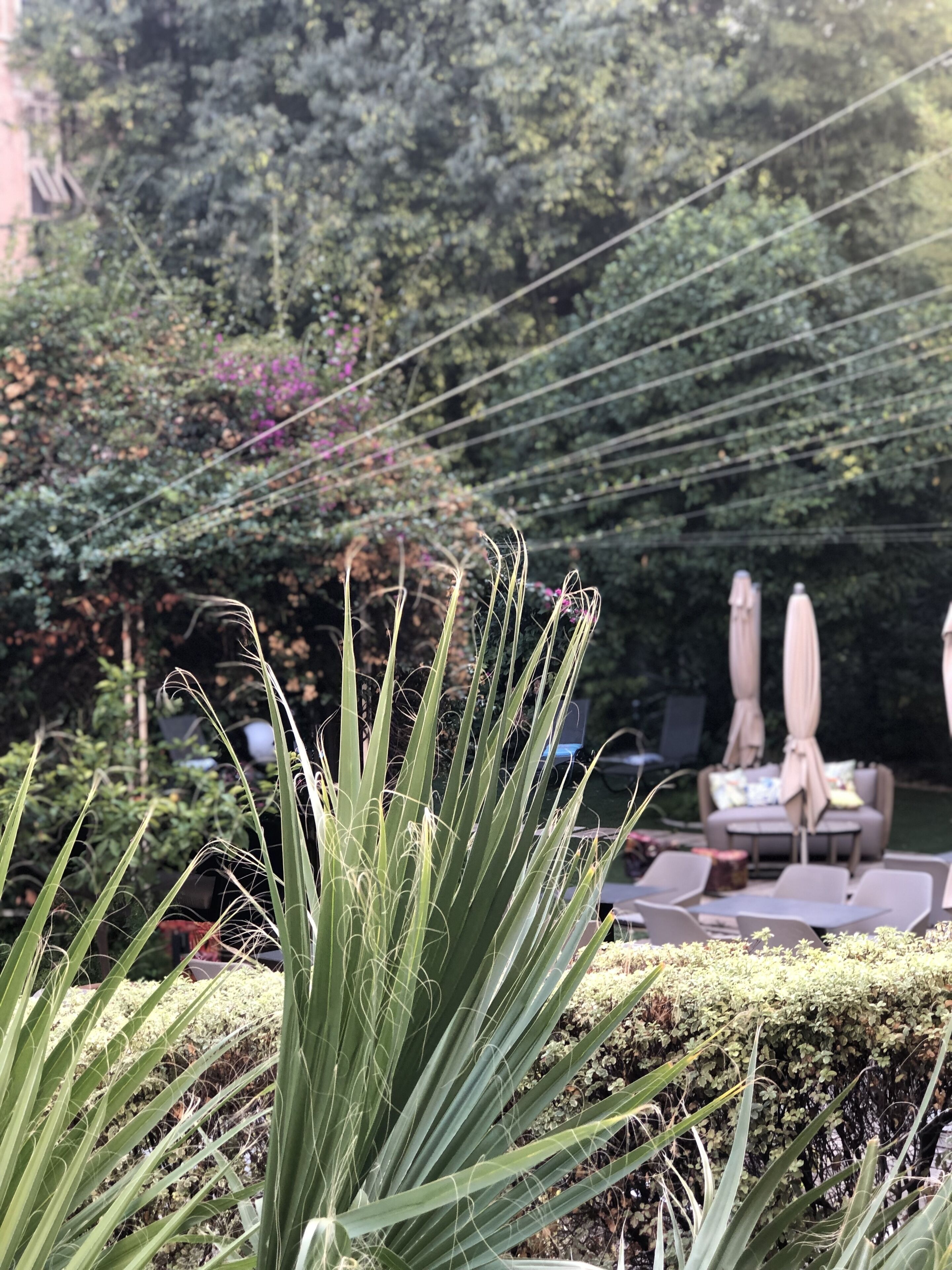 A garden with a patio area featuring outdoor furniture and umbrellas.
