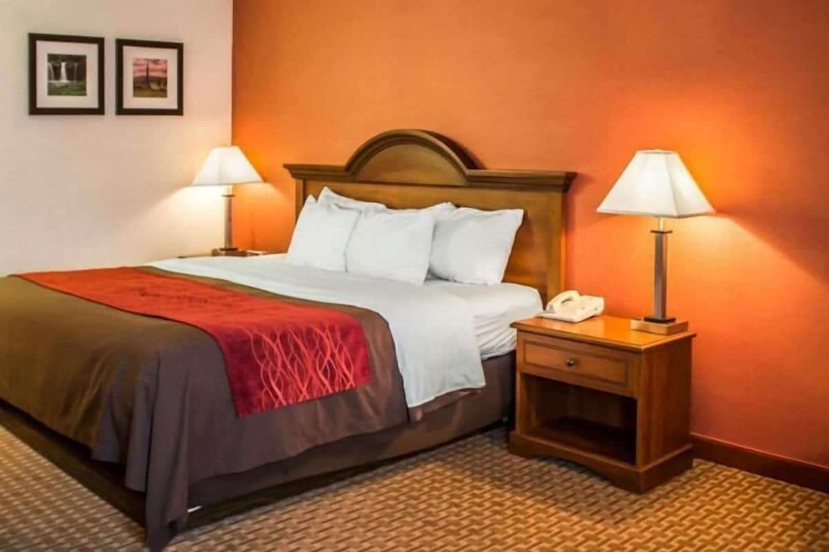 A hotel room with a bed, two bedside lamps, a nightstand with a phone, and two framed pictures on the wall.