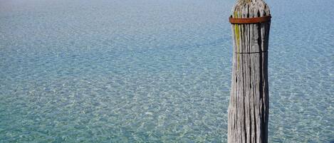 Beach nearby, white sand