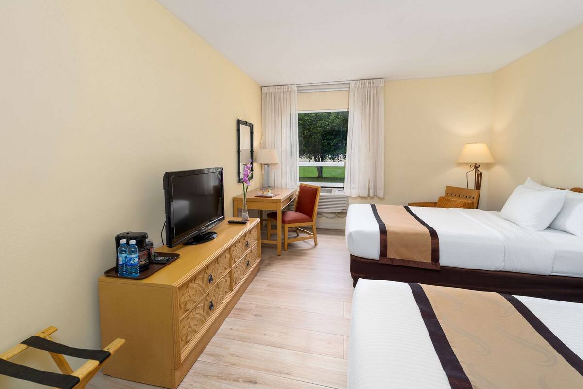 A hotel room with a bed, a desk with a chair, a television, and a window with curtains.