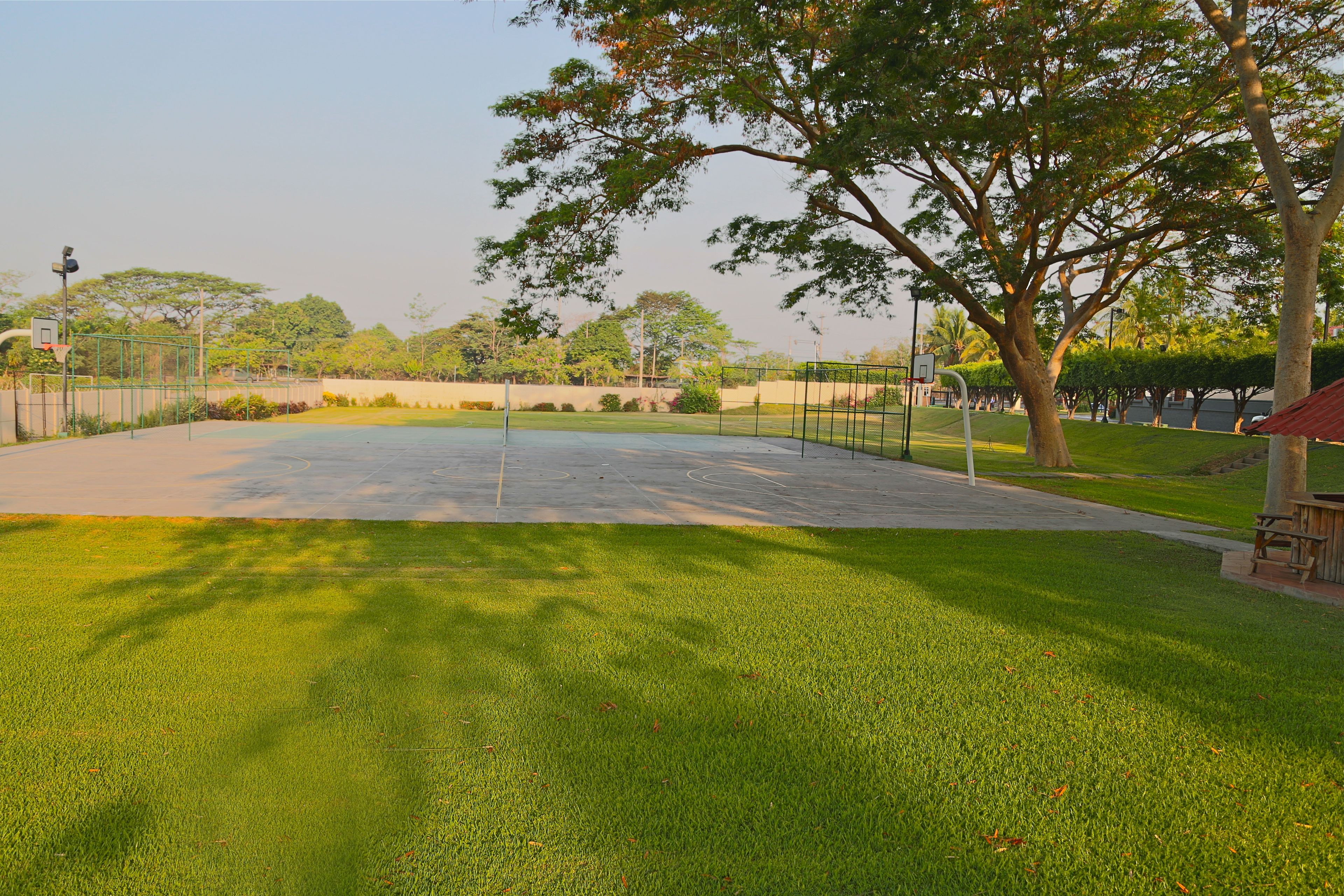 Una cancha de baloncesto con valla verde, árboles y un banco.