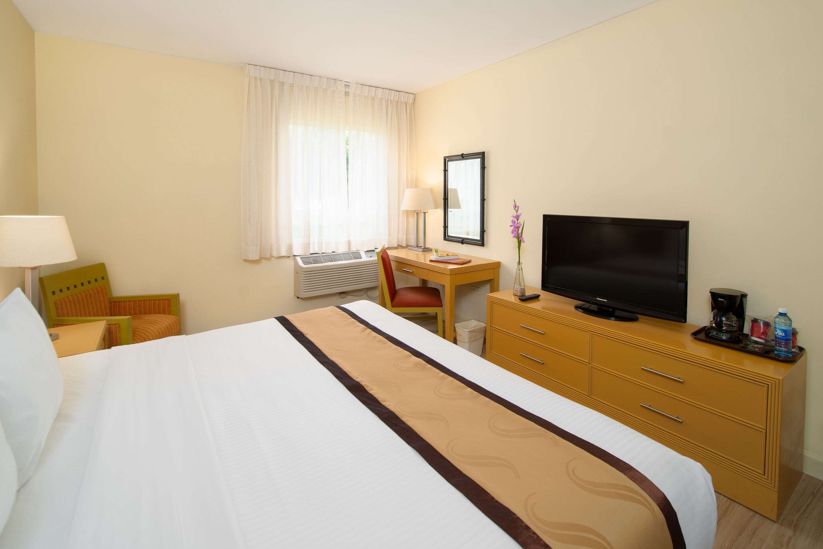 A hotel room with a bed, a desk, a television, a chair, a dresser, and a window with curtains.