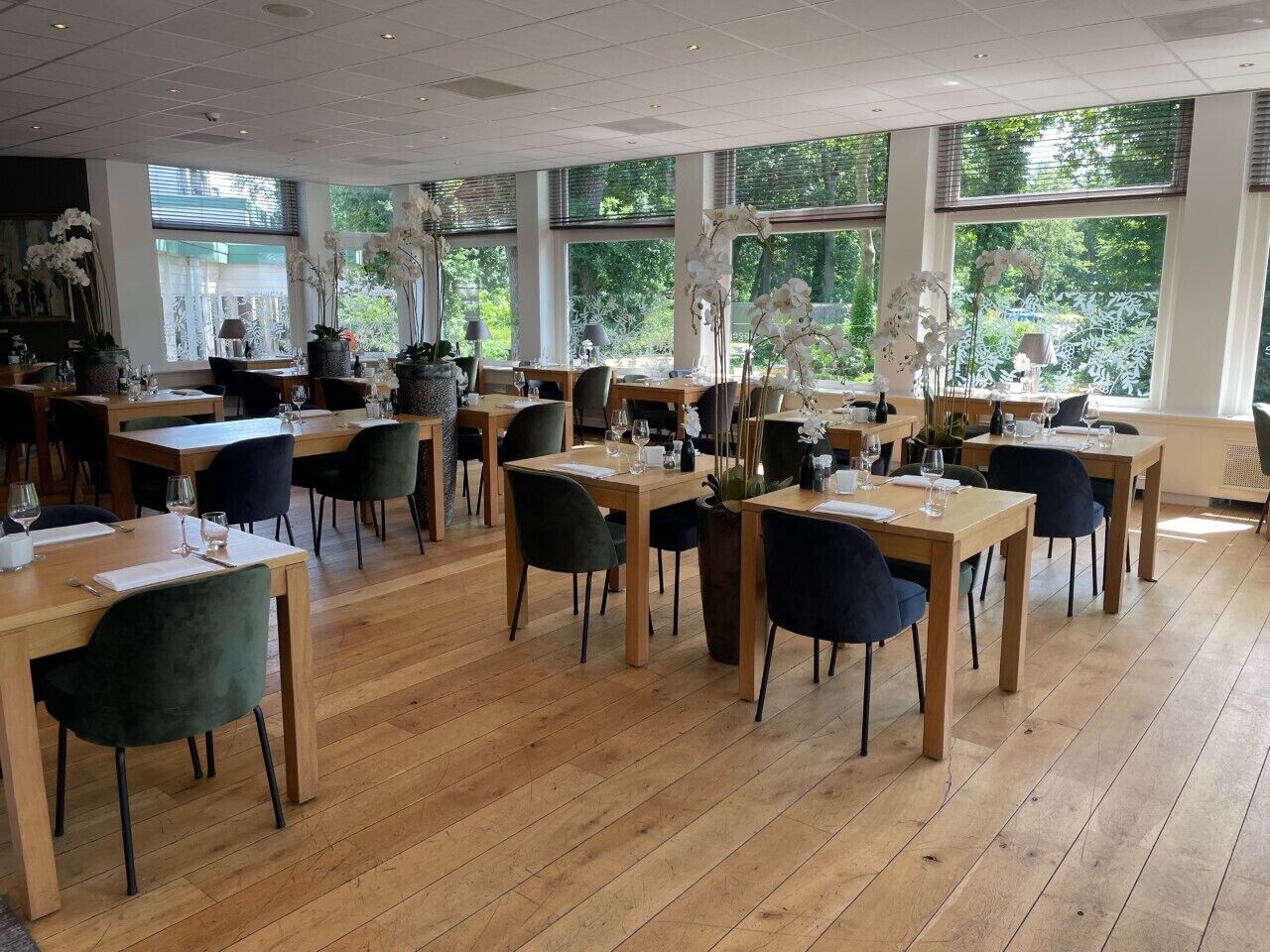 Un restaurante con mesas y sillas de madera, ventanas amplias con vistas al verdor y plantas en macetas.