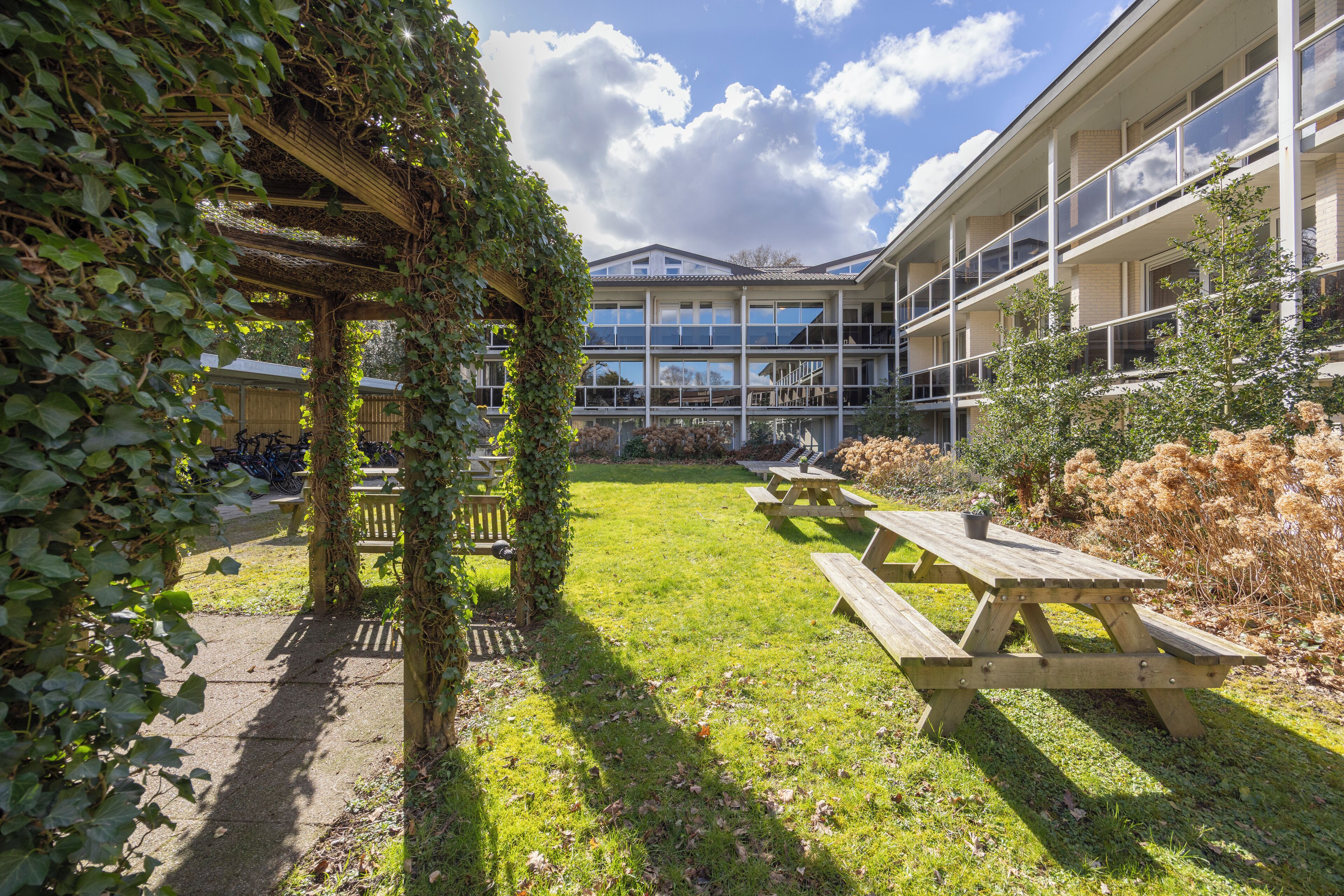 A courtyard with a wooden pergola covered in ivy, picnic tables, and a building with large windows in the background.