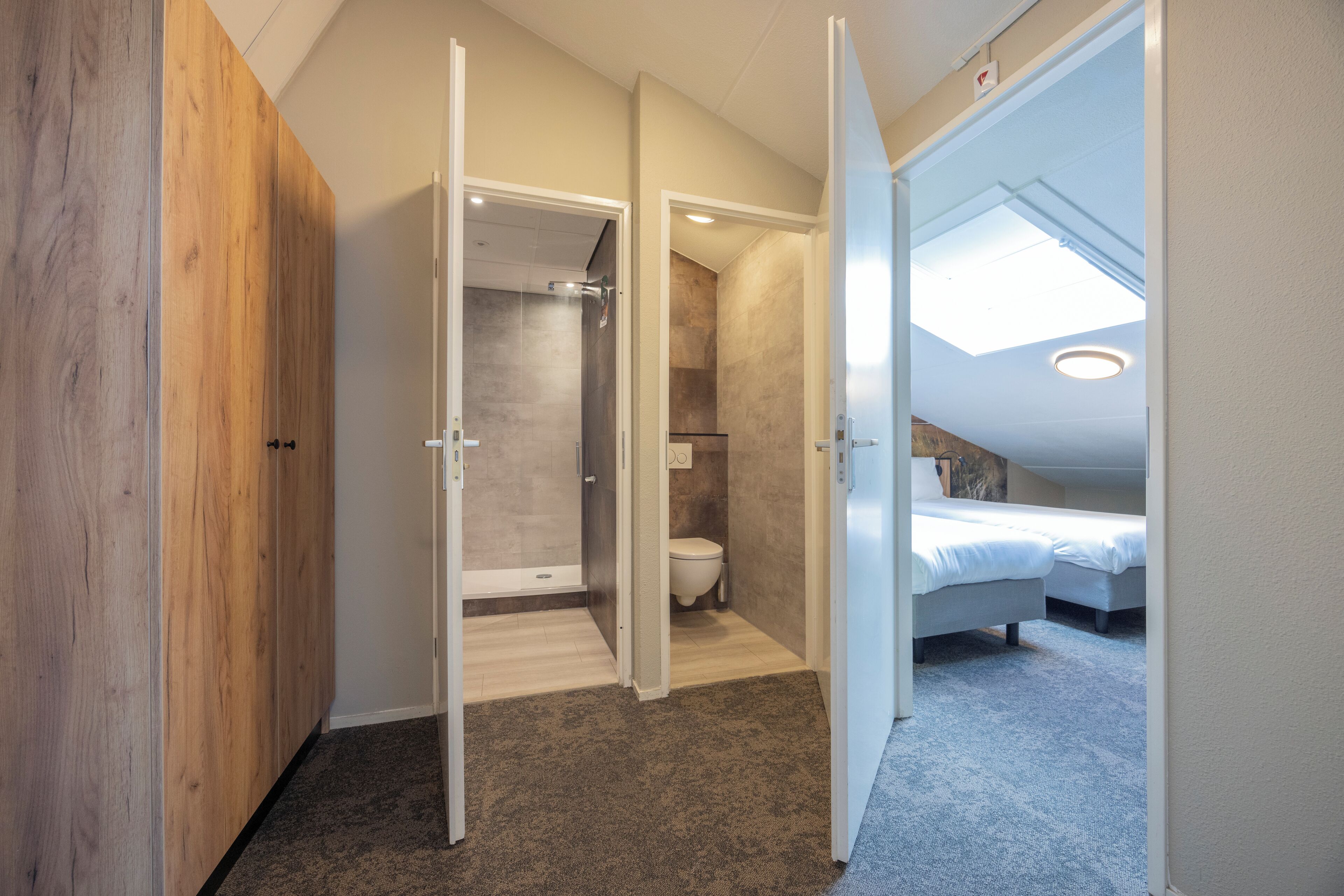 A modern bedroom with a skylight, a walk-in closet, and a shower area.
