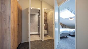 A modern bedroom with a skylight, a walk-in closet, and a shower area.