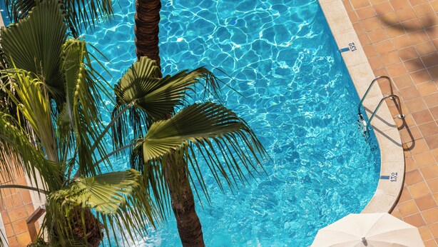 Una piscina con agua azul cristalina, rodeada de palmeras y un solárium con baldosas.