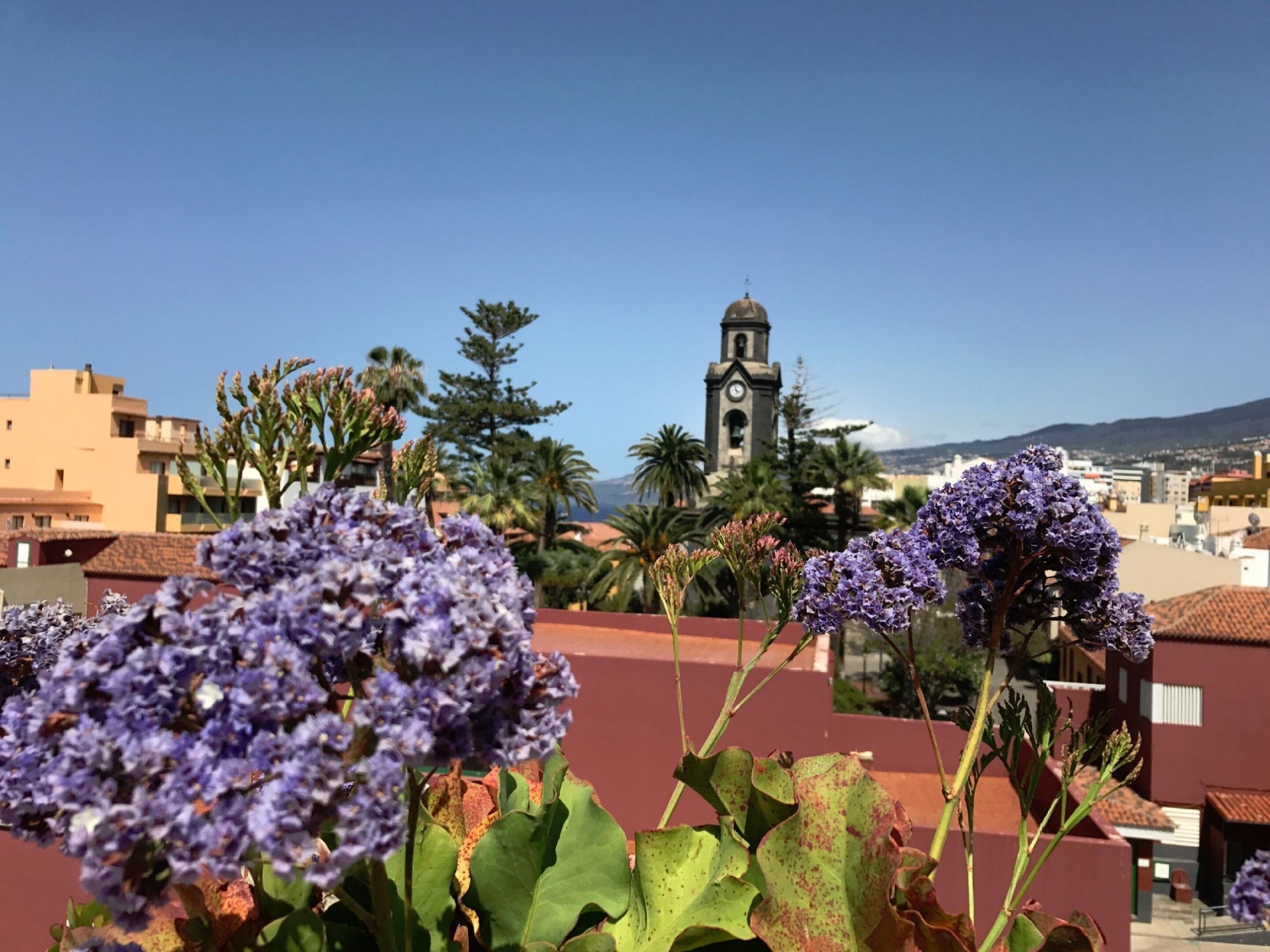 Foto - 4Dreams Hotel Chimisay