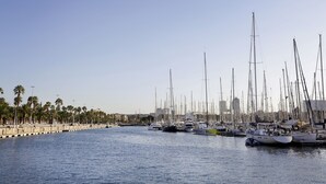 A marina with numerous sailboats docked along a waterfront promenade lined with palm trees. - Arc la Rambla (Barcelona)