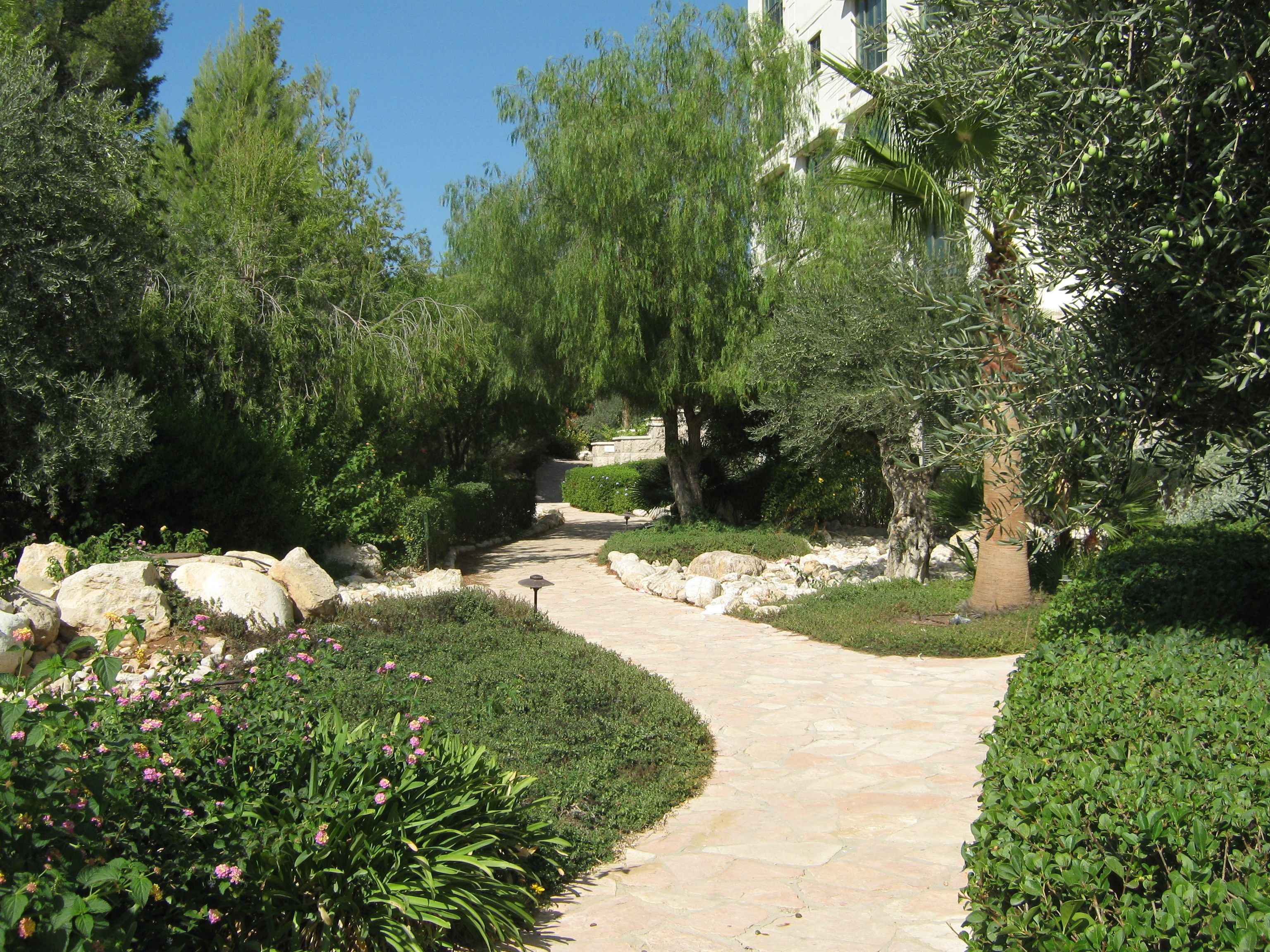 A stone pathway leading through a landscaped garden with various shrubs and trees.