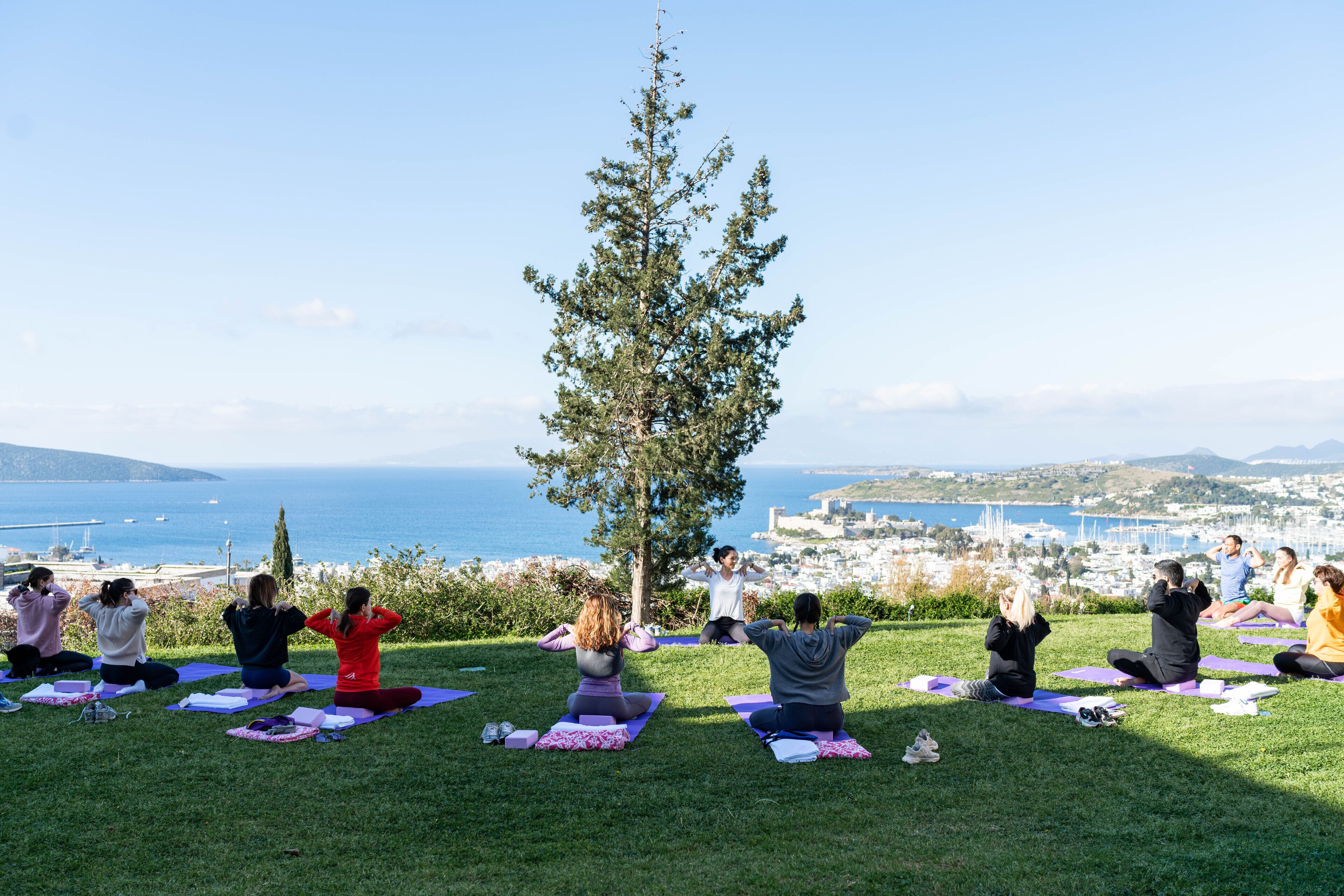 Eine Gruppe von Menschen praktiziert Yoga im Freien mit einem Baum und Blick auf eine Küstenstadt.