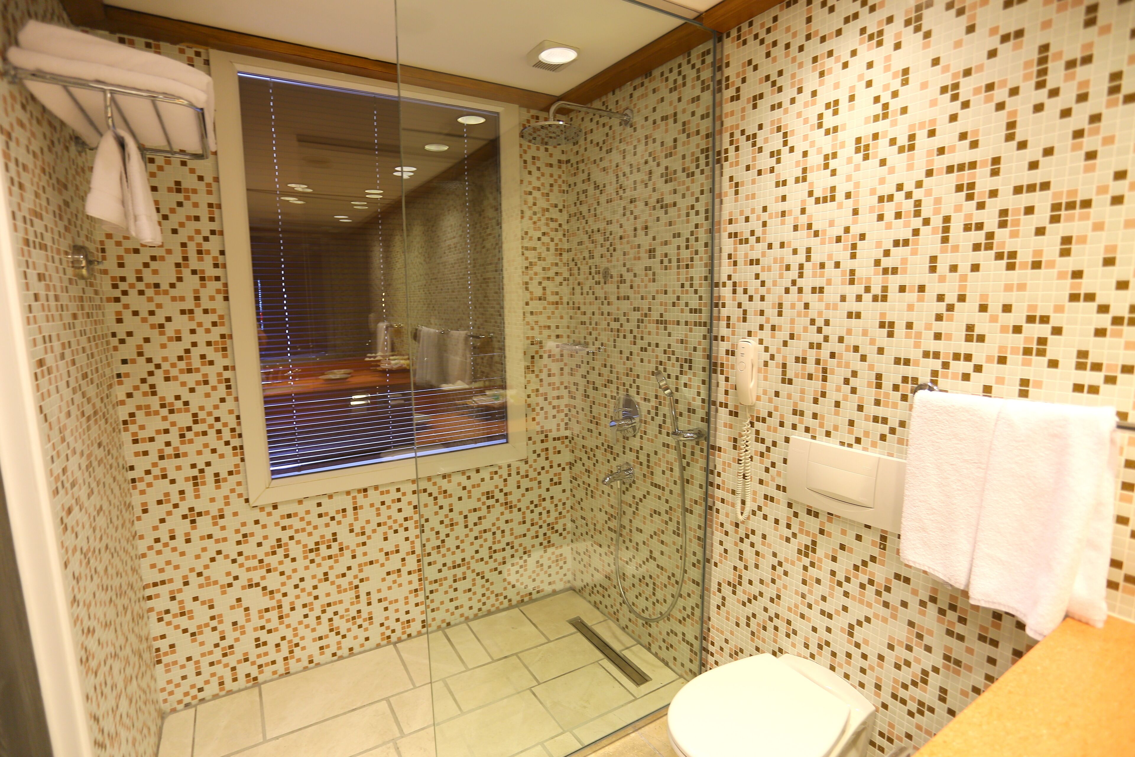 A bathroom with a shower, toilet, and a window.