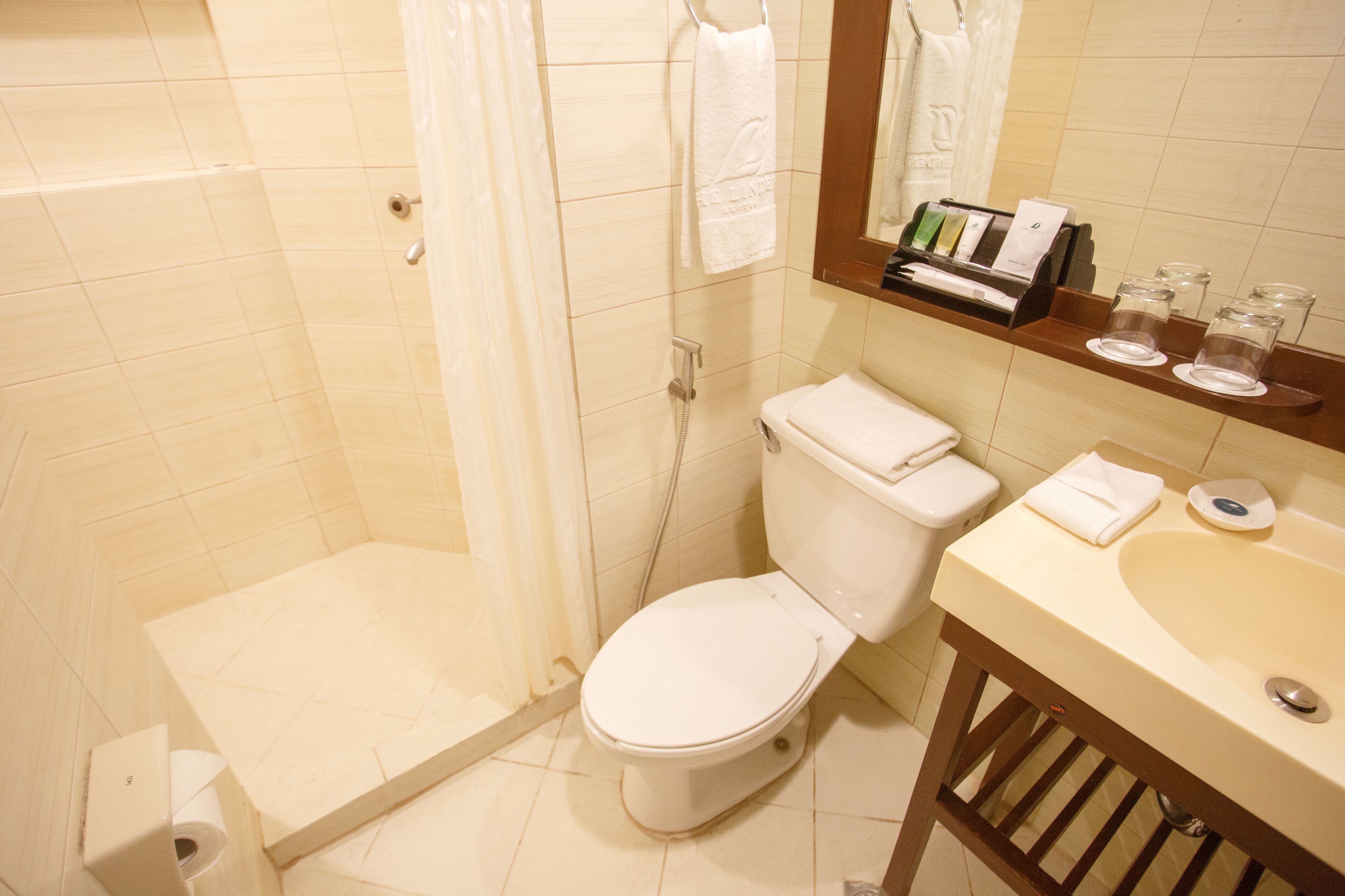 A bathroom with a shower, toilet, sink, and a mirror with toiletries.