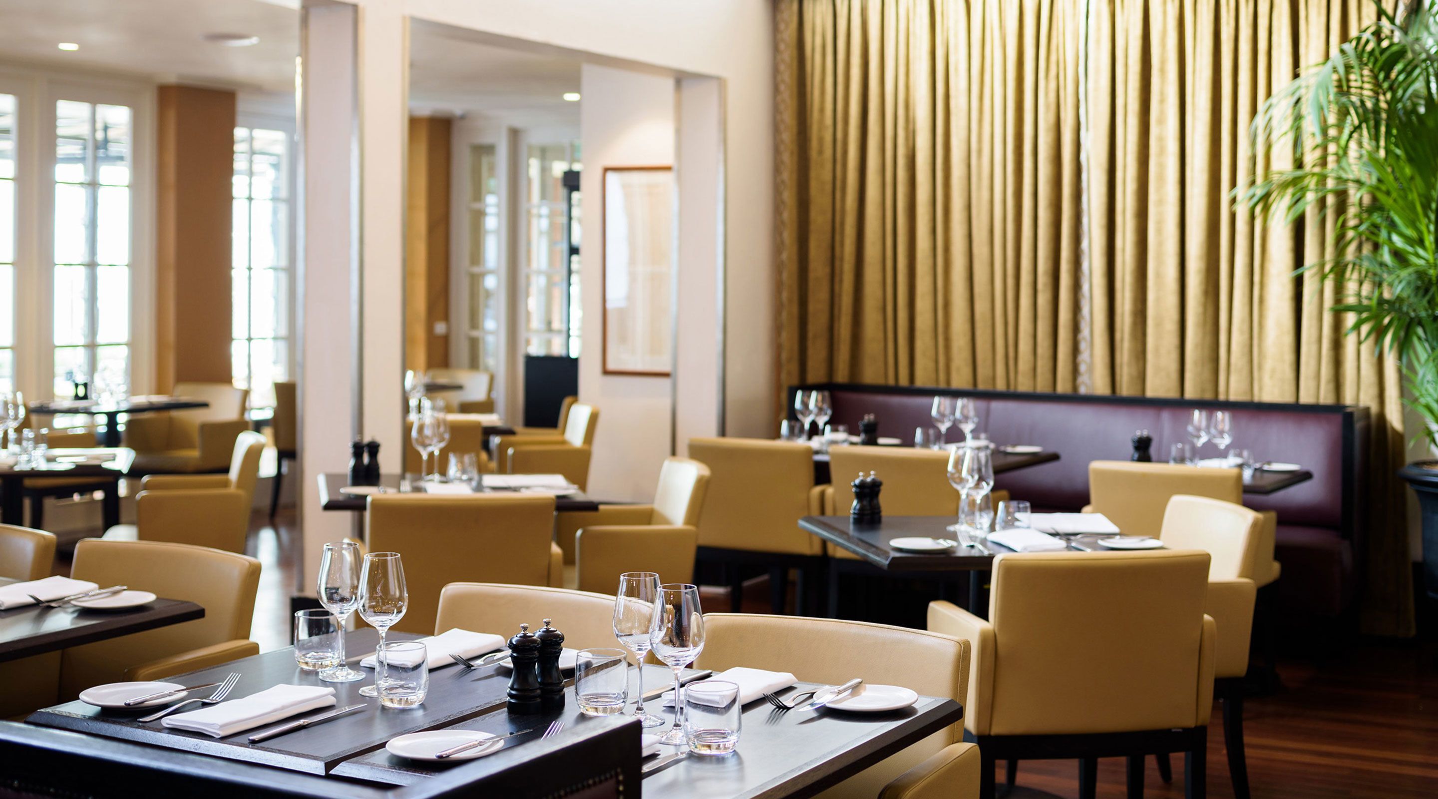 A restaurant with tables set for dining, featuring a modern interior with a large plant and a decorative wall.