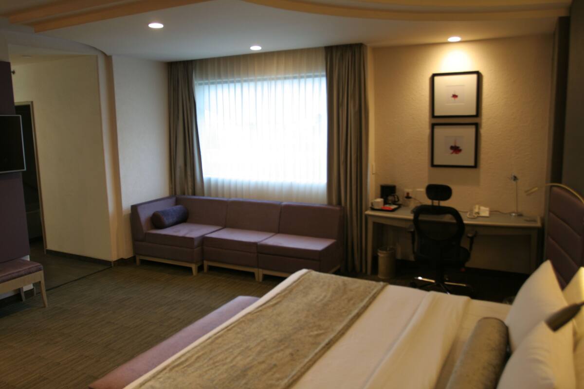A hotel room with a bed, a sofa, a desk, and a chair.